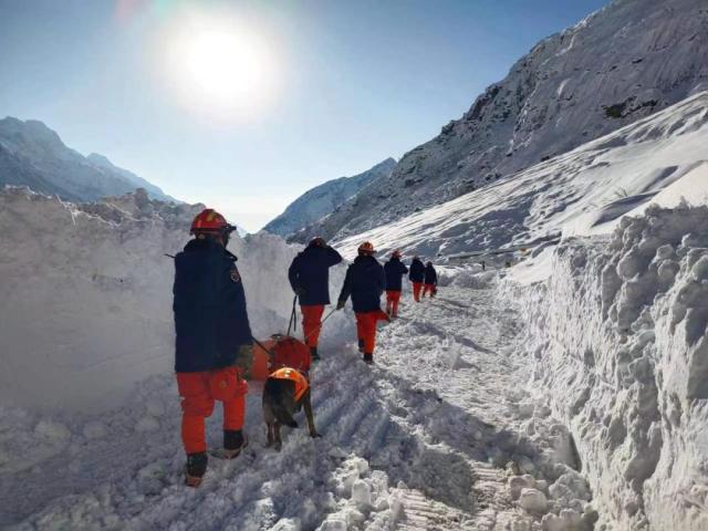 西藏林芝雪崩事故已致20人遇难(图1) 西藏林芝雪崩事故已致20人遇难(图1)