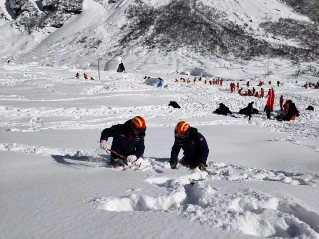 西藏林芝雪崩事故已致20人遇难(图3) 西藏林芝雪崩事故已致20人遇难(图3)