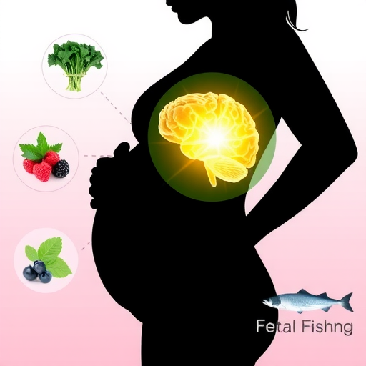 孕期饮食结构可影响胎儿大脑发育(图1) 孕期饮食结构可影响胎儿大脑发育(图1)