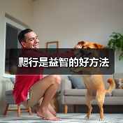 爬行是益智的好方法(图2) 爬行是益智的好方法(图2)