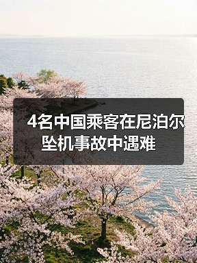 4名中国乘客在尼泊尔坠机事故中遇难（图4）