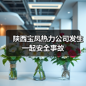陕西宝凤热力公司发生一起安全事故（图1）