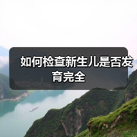 如何检查新生儿是否发育完全(图4) 如何检查新生儿是否发育完全(图4)