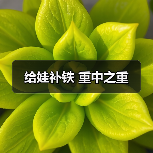 给娃补铁 重中之重(图3) 给娃补铁 重中之重(图3)
