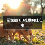 肠绞痛 BB难受妈咪心疼(图3) 肠绞痛 BB难受妈咪心疼(图3)
