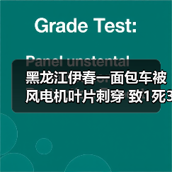 黑龙江伊春一面包车被风电机叶片刺穿 致1死3伤（图4）