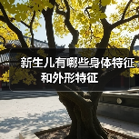 新生儿有哪些身体特征和外形特征(图4) 新生儿有哪些身体特征和外形特征(图4)