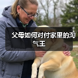 父母如何对付家里的淘气王(图4) 父母如何对付家里的淘气王(图4)