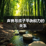 声音与孩子平衡能力的关系(图2) 声音与孩子平衡能力的关系(图2)