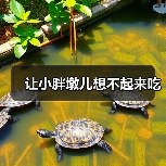 让小胖墩儿想不起来吃(图1) 让小胖墩儿想不起来吃(图1)