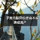 子宫内膜异位症会不会造成流产(图3) 子宫内膜异位症会不会造成流产(图3)