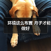 环境这么布置 月子才能做好(图4) 环境这么布置 月子才能做好(图4)