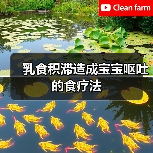 乳食积滞造成宝宝呕吐的食疗法(图1) 乳食积滞造成宝宝呕吐的食疗法(图1)
