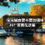 宝宝辅食要不要放调味料?答案在这里(图1) 宝宝辅食要不要放调味料?答案在这里(图1)