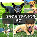 你最想知道的八个受孕问题(图4) 你最想知道的八个受孕问题(图4)