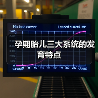 孕期胎儿三大系统的发育特点(图1) 孕期胎儿三大系统的发育特点(图1)