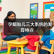 孕期胎儿三大系统的发育特点(图2) 孕期胎儿三大系统的发育特点(图2)