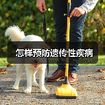 怎样预防遗传性疾病(图3) 怎样预防遗传性疾病(图3)
