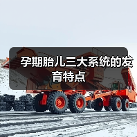 孕期胎儿三大系统的发育特点(图3) 孕期胎儿三大系统的发育特点(图3)