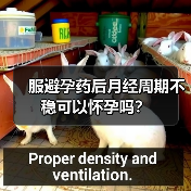 服避孕药后月经周期不稳可以怀孕吗?(图1) 服避孕药后月经周期不稳可以怀孕吗?(图1)