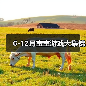 6-12月宝宝游戏大集锦(图2) 6-12月宝宝游戏大集锦(图2)