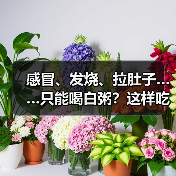 感冒、发烧、拉肚子……只能喝白粥？这样吃才好得快！（图3）