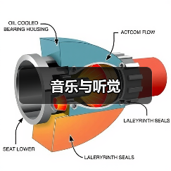 音乐与听觉(图2) 音乐与听觉(图2)