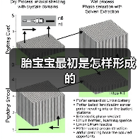 胎宝宝最初是怎样形成的(图1) 胎宝宝最初是怎样形成的(图1)