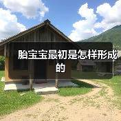 胎宝宝最初是怎样形成的(图4) 胎宝宝最初是怎样形成的(图4)