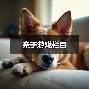 亲子游戏栏目(图3) 亲子游戏栏目(图3)