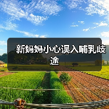 新妈妈小心误入哺乳歧途(图3) 新妈妈小心误入哺乳歧途(图3)