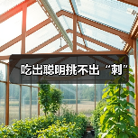 吃出聪明挑不出“刺”（图1）