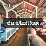 质疑幼儿园的奖励机制（图4）