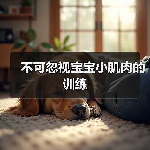 不可忽视宝宝小肌肉的训练(图4) 不可忽视宝宝小肌肉的训练(图4)