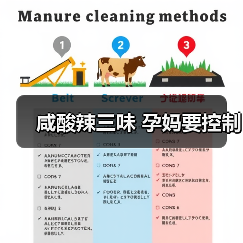 咸酸辣三味 孕妈要控制(图4) 咸酸辣三味 孕妈要控制(图4)