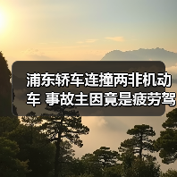 浦东轿车连撞两非机动车 事故主因竟是疲劳驾驶?(图1) 浦东轿车连撞两非机动车 事故主因竟是疲劳驾驶?(图1)