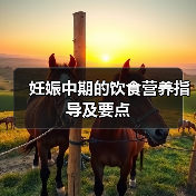 妊娠中期的饮食营养指导及要点(图3) 妊娠中期的饮食营养指导及要点(图3)