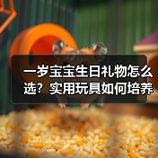 一岁宝宝生日礼物怎么选?实用玩具如何培养数学思维?(图3) 一岁宝宝生日礼物怎么选?实用玩具如何培养数学思维?(图3)