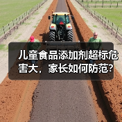 儿童食品添加剂超标危害大,家长如何防范?(图4) 儿童食品添加剂超标危害大,家长如何防范?(图4)