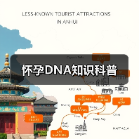 怀孕DNA知识科普(图2) 怀孕DNA知识科普(图2)