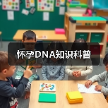 怀孕DNA知识科普(图4) 怀孕DNA知识科普(图4)