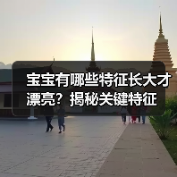 宝宝有哪些特征长大才漂亮?揭秘关键特征(图3) 宝宝有哪些特征长大才漂亮?揭秘关键特征(图3)