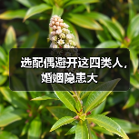 选配偶避开这四类人,婚姻隐患大(图4) 选配偶避开这四类人,婚姻隐患大(图4)