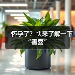 怀孕了？快来了解一下“害喜”（图4）