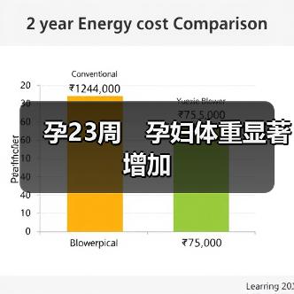 孕23周 孕妇体重显著增加(图1) 孕23周 孕妇体重显著增加(图1)