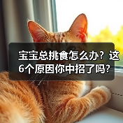 宝宝总挑食怎么办?这6个原因你中招了吗?(图1) 宝宝总挑食怎么办?这6个原因你中招了吗?(图1)