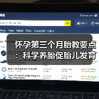 怀孕第三个月胎教要点:科学养胎促胎儿发育(图2) 怀孕第三个月胎教要点:科学养胎促胎儿发育(图2)