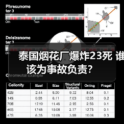 泰国烟花厂爆炸23死 谁该为事故负责?(图2) 泰国烟花厂爆炸23死 谁该为事故负责?(图2)