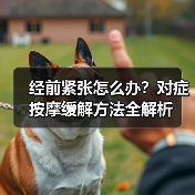 经前紧张怎么办?对症按摩缓解方法全解析(图3) 经前紧张怎么办?对症按摩缓解方法全解析(图3)