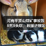 河南平顶山煤矿事故致8死8失联,救援进展如何?(图4) 河南平顶山煤矿事故致8死8失联,救援进展如何?(图4)